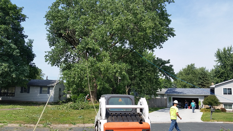 St. Michael MN Tree Services