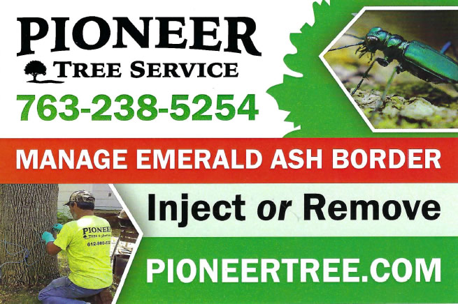 Pioneer Tree Service Ash Tree Post Card