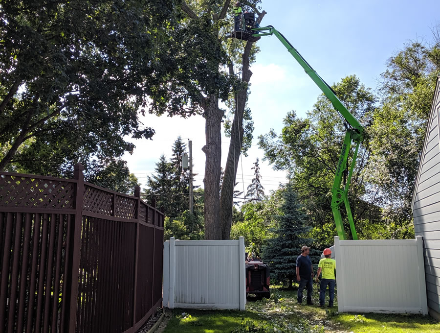 Coon Rapids MN Large Tree Removal
