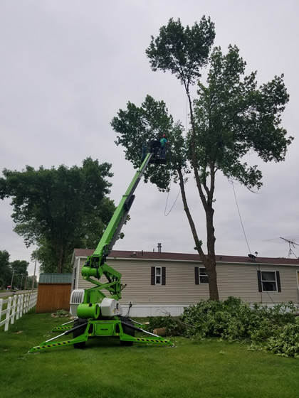 Tree Removal Services for Mobile Home Parks