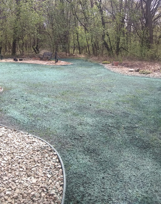 Milaca Hydroseeding