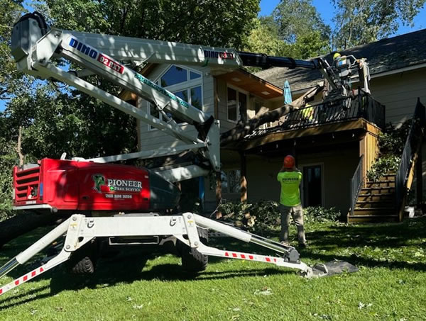 Anoka Tree Services Anoka MN Large Tree Removal Photo