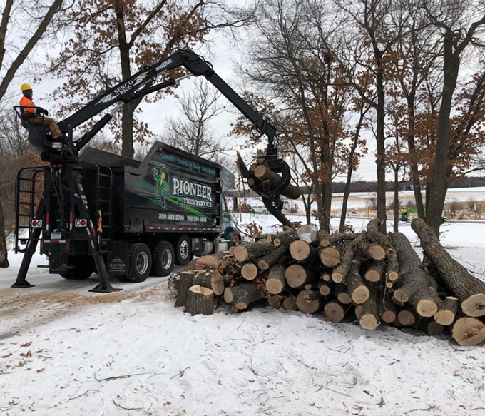 Log Length Firewood