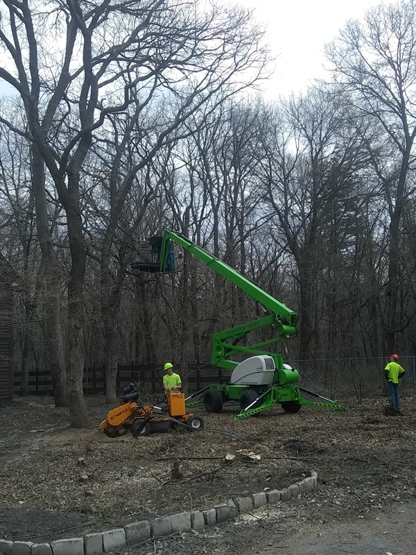 Lot Clearing Princeton MN