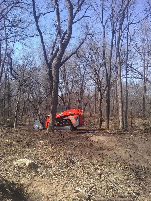 Lot Clearing Cambridge MN