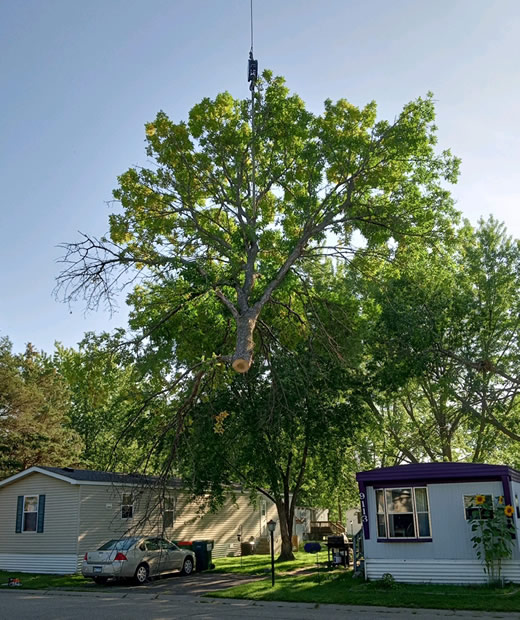 Tree Removal Services for Mobile Home Parks Tree Removal Services for Mobile Home Parks