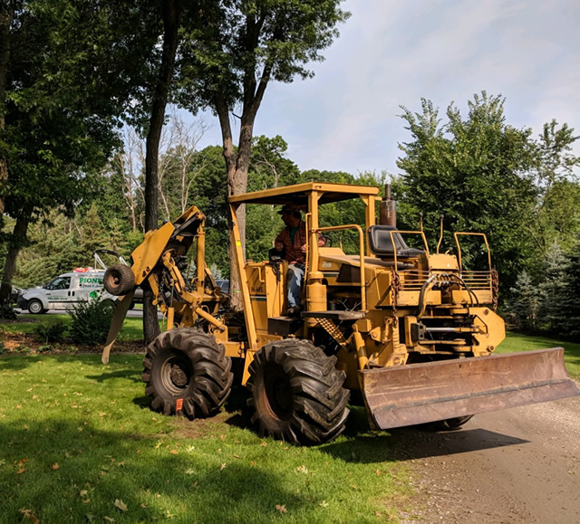 Sherburne County Oak Wilt Treatment Photo