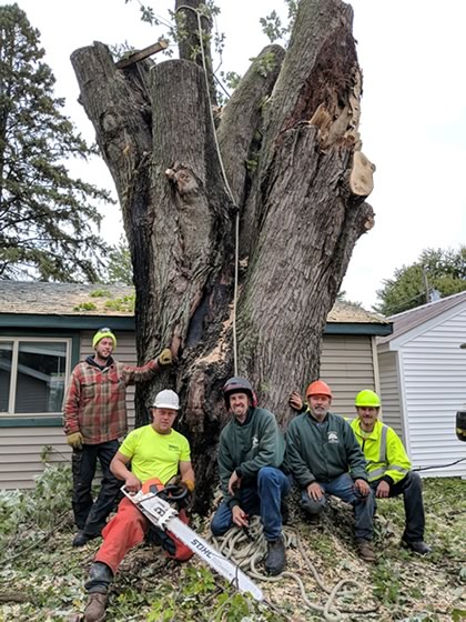 pioneer tree crew 2018
