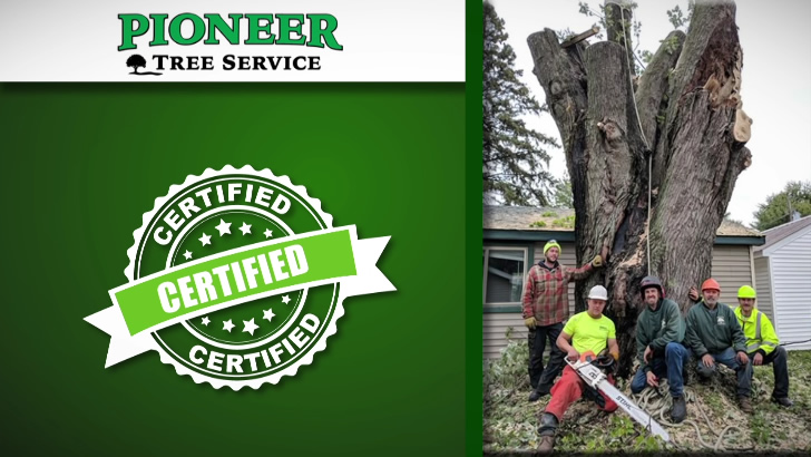 Check out Arcadia's opening tree in the Pioneer Company coming in