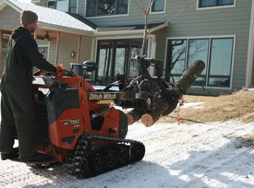 Winter Tree Pruning Princeton, MN Princeton, MNWinter Tree Pruning Photo
