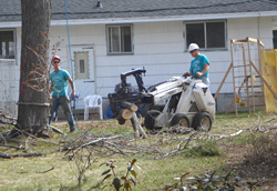 Tree cleanup after a storm
