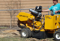 Big Lake, MN Stump Grinding