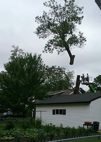 Coon Rapids Tree Removal