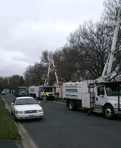 St. Cloud, MN Tree Trimming Photo