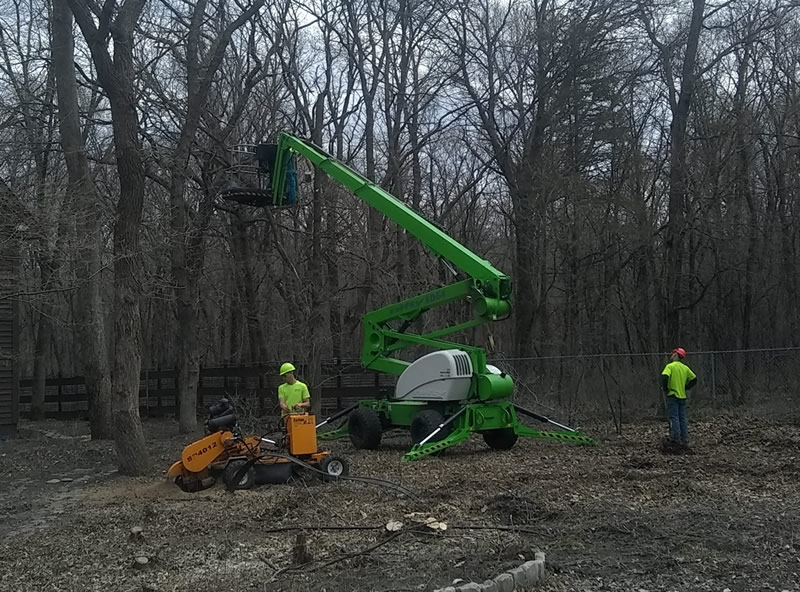 Land and Lot Clearing | Pioneer Tree Service