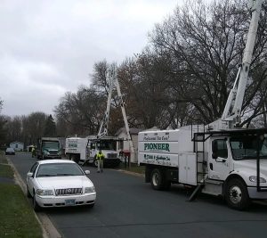 St. Cloud Tree Service – Ash Tree Removal