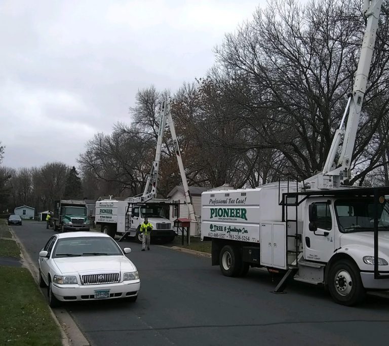 St. Cloud Tree Services