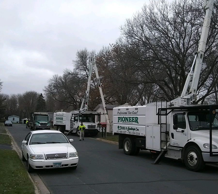 St. Cloud Tree Services