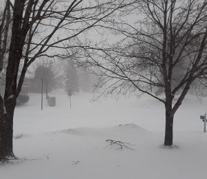 Is It Spring Yet?