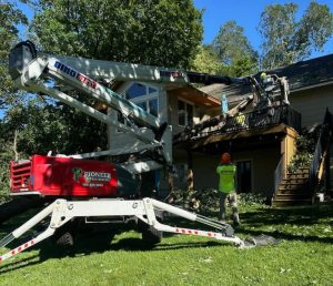 Hazardous Tree Removal