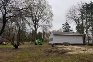 Hazardous Tree Removal