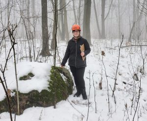 Now Trimming Oaks