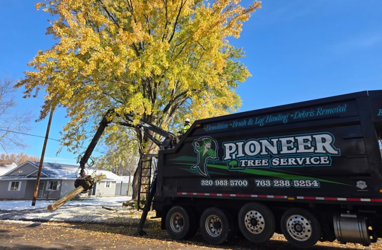 Tree Care Company St Francis, MN