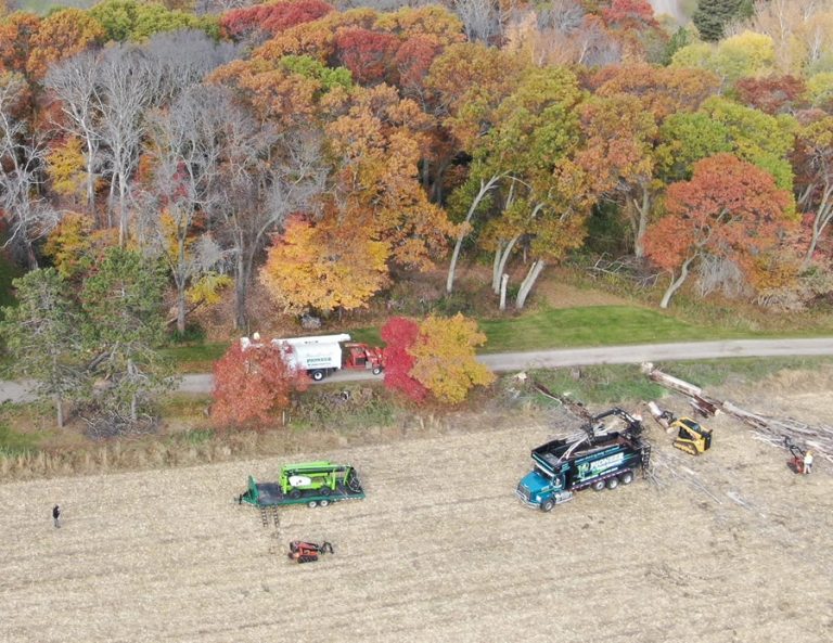 Foley Tree Services & Tree Removal