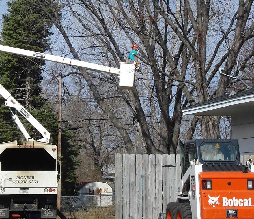 East Bethel Tree Services East Bethel Tree Services
