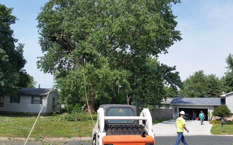 St. Michael Tree Services