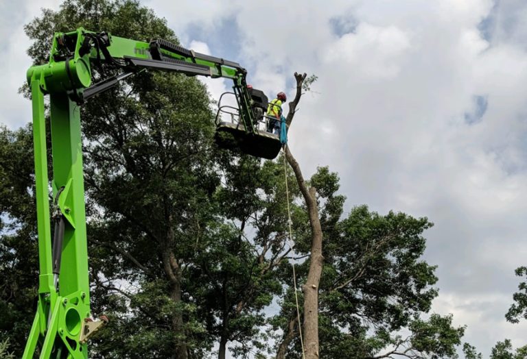 Anoka MN Tree Removal Service