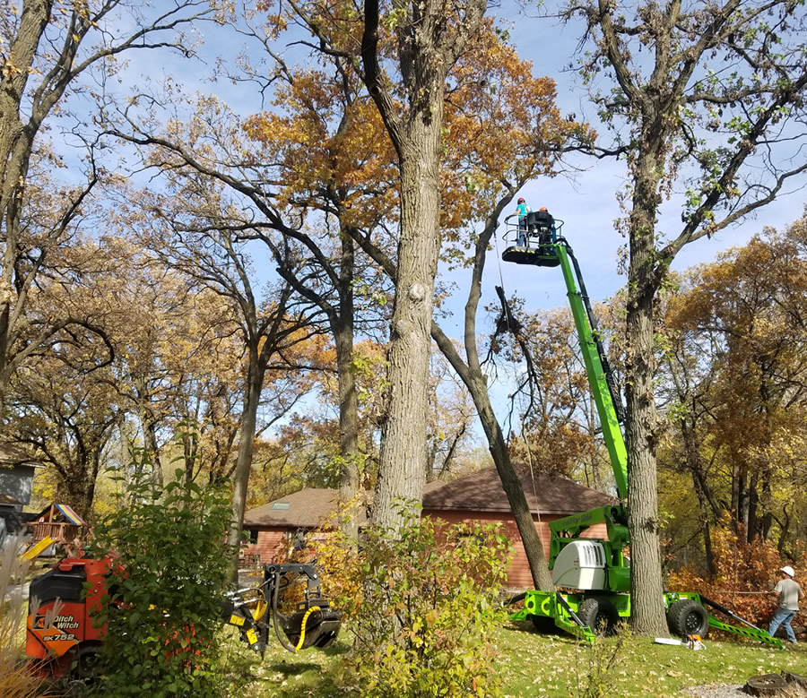 Maple Grove Tree Care