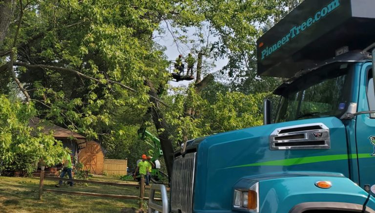 Princeton Tree Trimming & Pruning