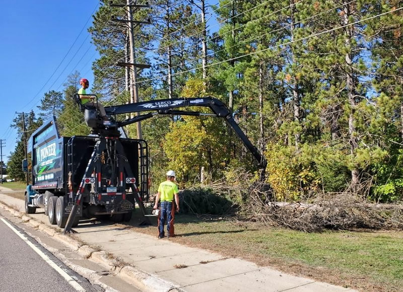 Ramsey MN Tree Removal Services