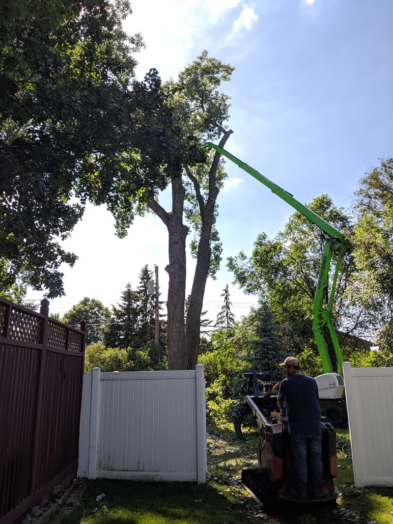 Elk River Tree Services