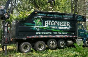 Oak Grove, MN Tree Removal Service