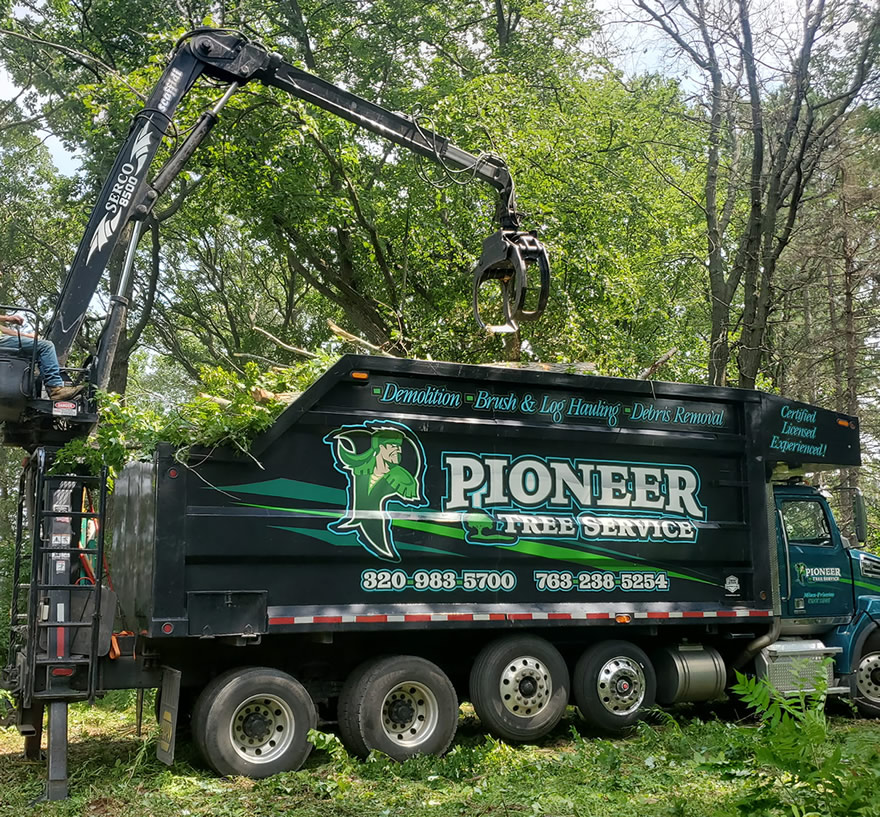 Oak Grove Tree Removal