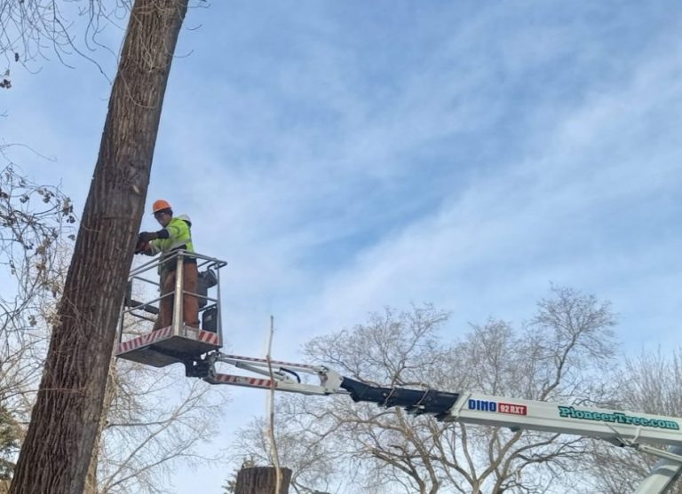 Cambridge MN Customer Testimonial