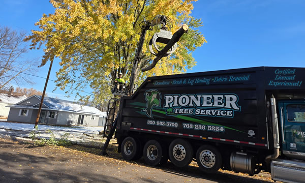 Pioneer Tree Service in Milaca, MN Pioneer Tree Service in Milaca, MN