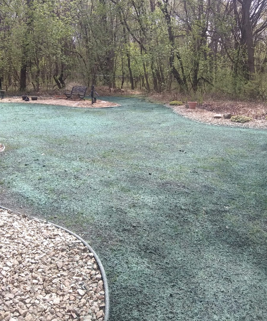 Hydroseeding helps to establish a healthy lawn