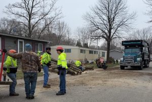 Tree Removal for Mobile Home Parks