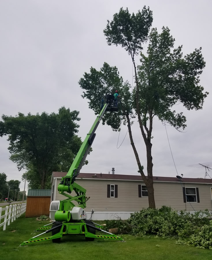 Tree Removal at Mobile Home Parks