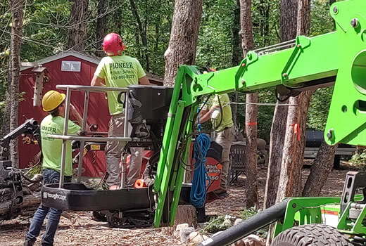 Ramsey MN Tree Removal