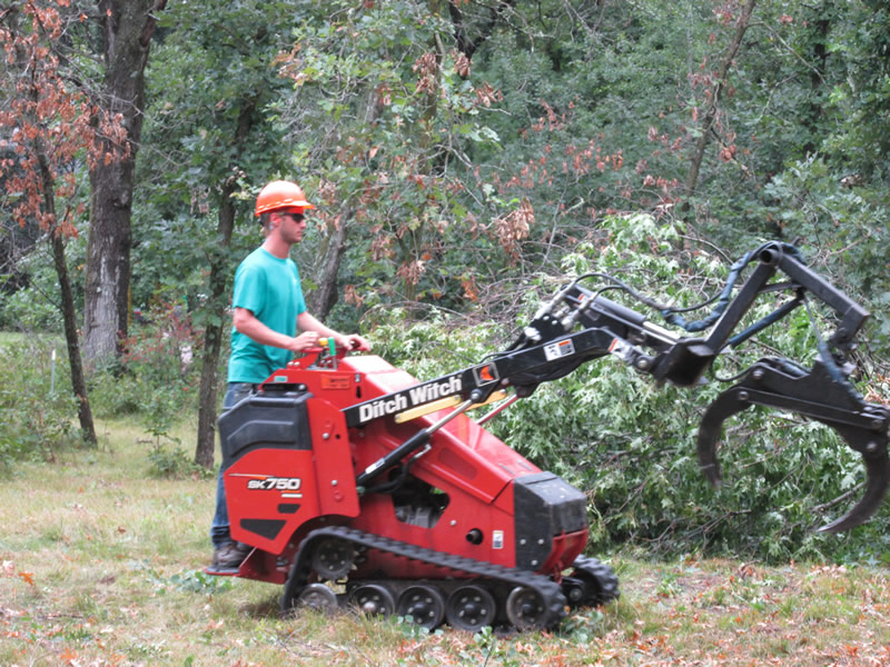 Storm Damage Tree Cleanup Anoka MN