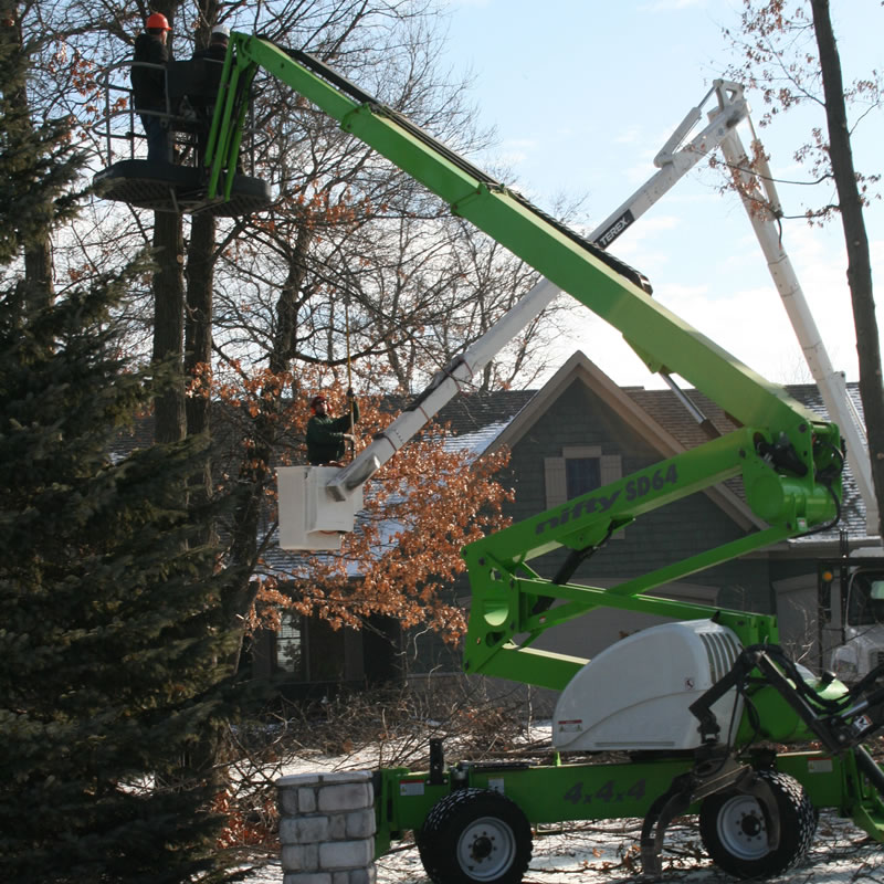 Tree Pruning in Winter Tree Pruning in Winter