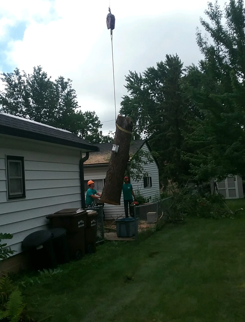 Tree Removal Ham Lake MN