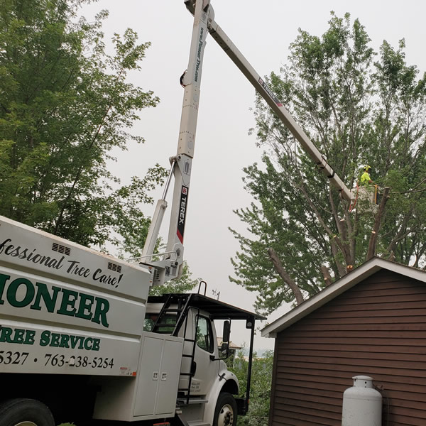 Tree Services Testimonials Milaca MN