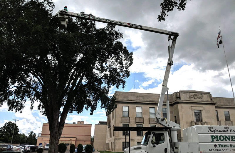 Tree Trimming & Tree Pruning Tree Trimming & Tree Pruning