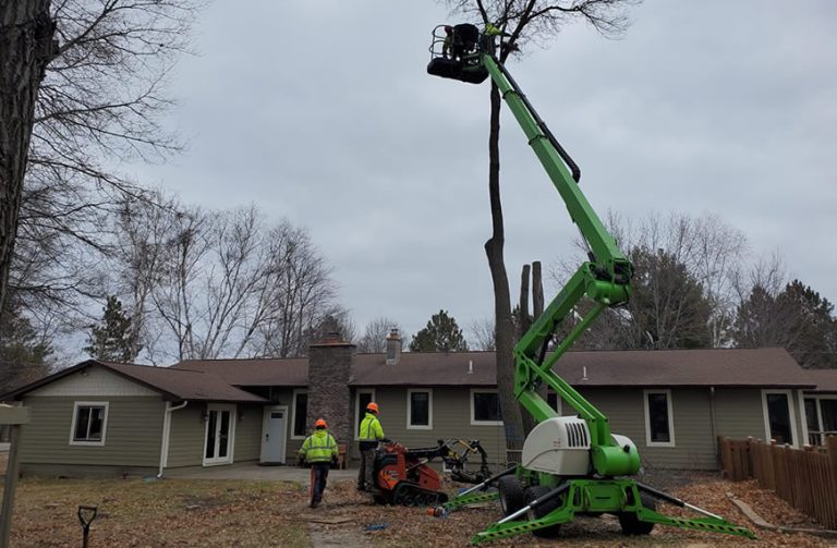 Champlin, MN Tree Removal