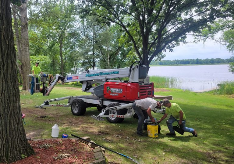 Tree Removal in Foreston, MN